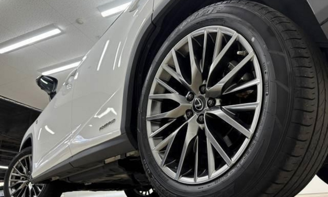 LEXUS RX450h (под заказ), фото 9